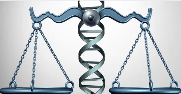 Ethical Dilemmas in Medical Billing: Balancing Profitability and Patient Care